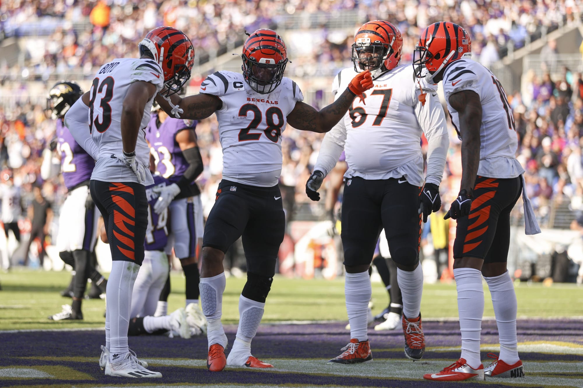 A "zebra" Cincinnati Bengals comemora mais um touchdown (Foto: divulgação)