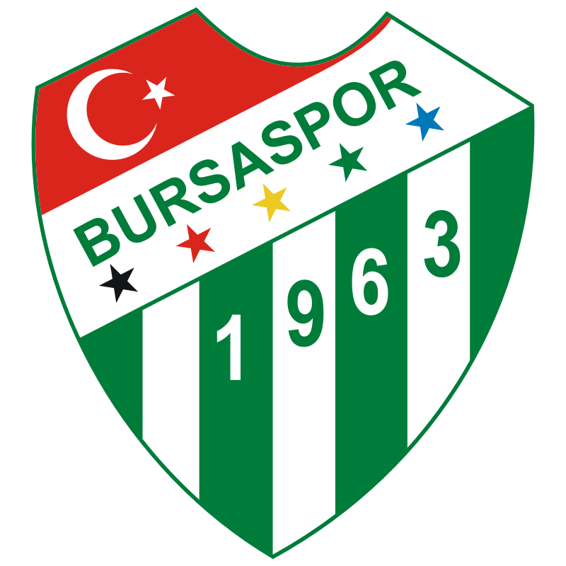 BURSASPOR FLASHSCORE visual data 8